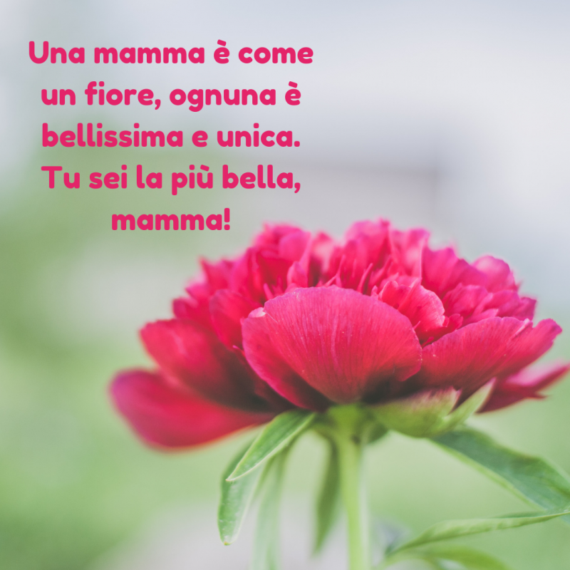 Auguri Per La Festa Della Mamma Da Mandare Su Whatsapp