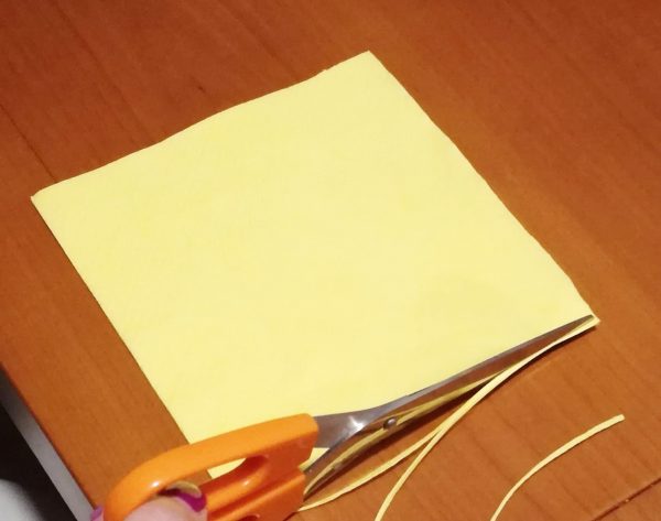 come fare i fiori con i tovaglioli di carta