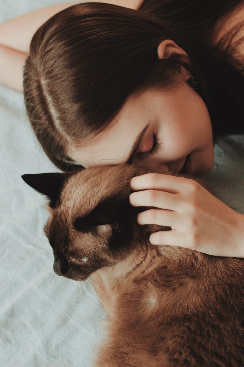 Gatti e bambini