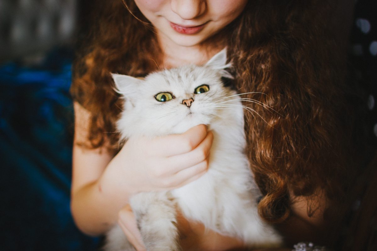Gatti e bambini