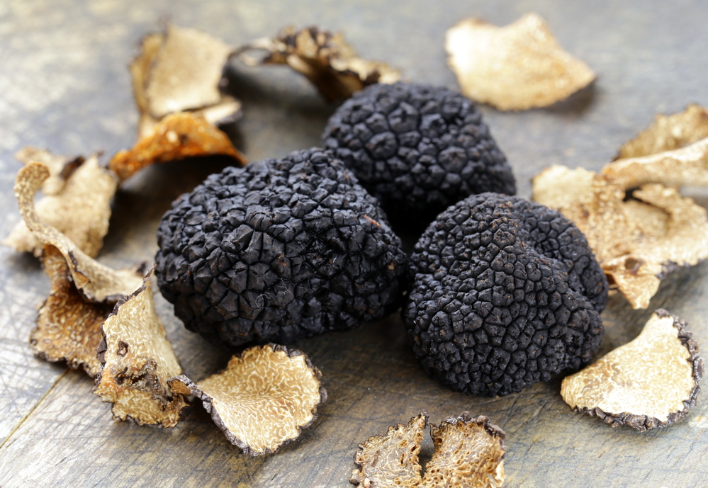 tartufo