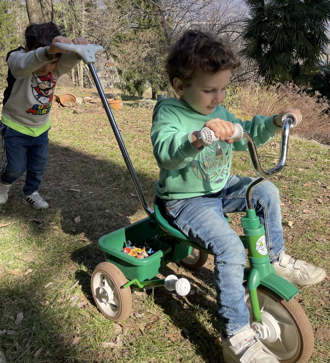 Italtrike 1041 passenger